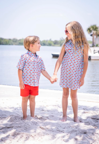 RED SNAPPER SLEEVELESS DRESS  | BLUE QUAIL CLOTHING CO