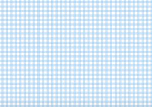 LULLABY SET 1956 POCKET DRESS BARKER BLUE MINI GINGHAM
