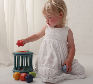 ROLLING SHAPE SORTER | TOLO BIO