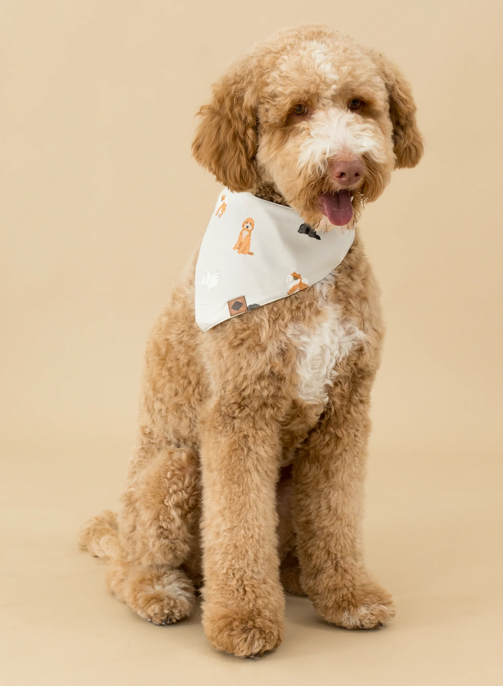 KYTE BABY DOG BANDANA IN FLUFFY DOG