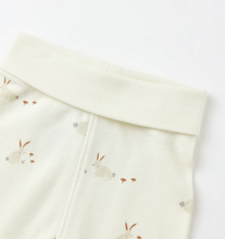 Load image into Gallery viewer, QUINCY MAE SIDE SNAP BODY SUIT + PANT SET | BUNNIES