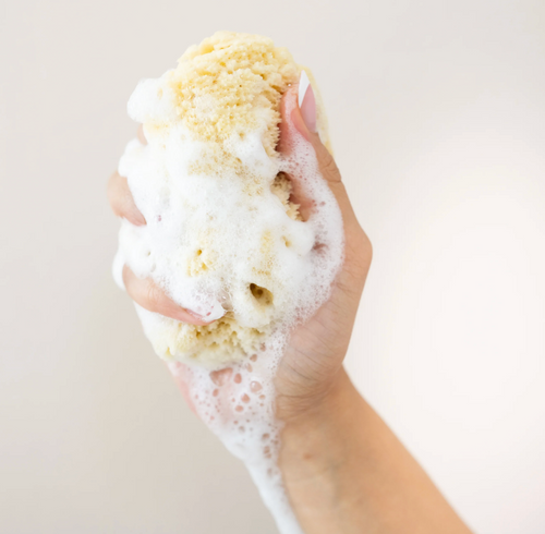 SEA SPONGE | KYTE BABY