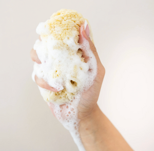 SEA SPONGE | KYTE BABY
