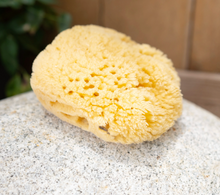 Load image into Gallery viewer, SEA SPONGE | KYTE BABY