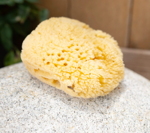 SEA SPONGE | KYTE BABY