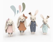 Load image into Gallery viewer, SPEEDY MONKEY RABBIT FAMILY