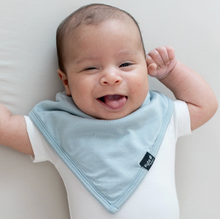 Load image into Gallery viewer, KYTE BABY BIB IN FOG