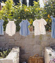 Load image into Gallery viewer, QUINCY MAE BABY &amp; TODDLER CARINA DRESS | GARDEN ROSE