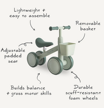 Load image into Gallery viewer, MINI TODDLER BIKE