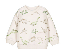 Load image into Gallery viewer, MYRL BABY SWEATSHIRT ON DINO