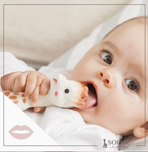 Load image into Gallery viewer, SOPHIE LA GIRAFE WHITE BOX | CLASSIC