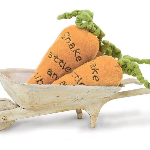 CARROT RATTLE